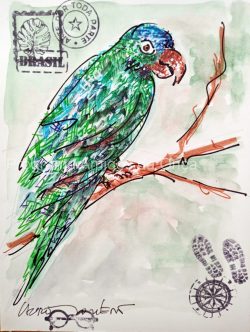 "Aratinga-de-testa-azul, Blue-crowned parakeet", por Lauro Monteiro Filho