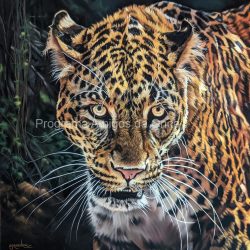 "Spirit of the Caatinga", por Sam Greenhill