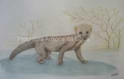 "Papa-mel / Tayra (Eira barbara)", por Maria de Fátima