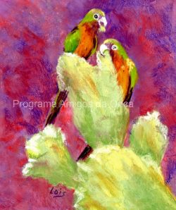 "Caatinga parakeets (Eupsittula cactorum)", por Lois Davis