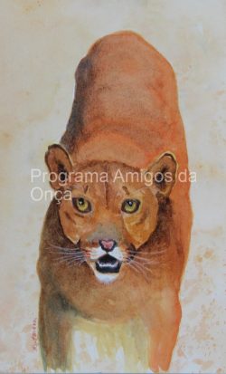 "Puma", por Joyce Hartmann