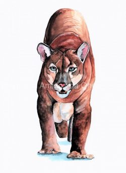 "Puma", por Lea Finke