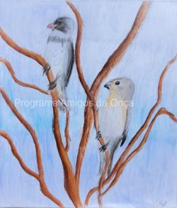 Riya Sharma