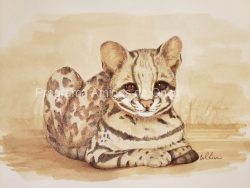 "Jaguatirica",  por Isabel Lira