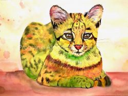 "Ocelot / Jaguatirica (Leopardus pardalis)", por Renate Zangger