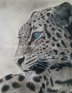 "Jaguar", por Deepti Jain