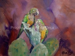 "Periquito-da-caatinga (Eupsittula cactorum)", por Kitty Harvill
