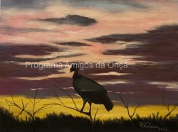 "Urubu Rei / King Vulture", por Rosana Venturini