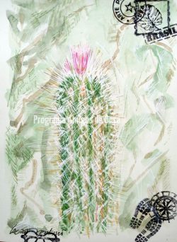 "Cactus", por Lauro Monteiro Filho