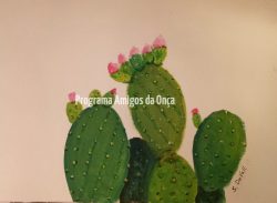 "Tacinga subcylindrica", por Sue DuVall