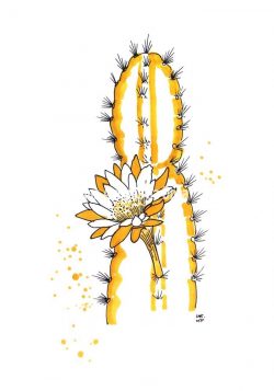 "Mandacaru (Cereus jamacaru)", por  Catarina Vitorino
