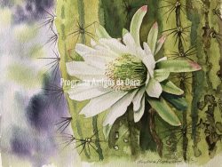 "Mandacaru cactus", por Christina Hopkinson